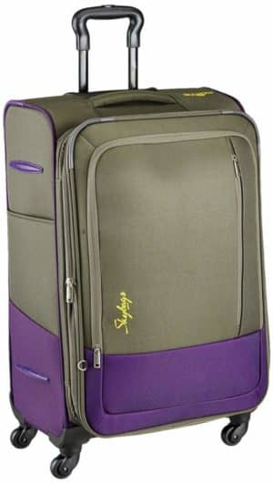 Amazon Deal – Skybags Footloose Romeo Polyester 58 cms Grey Softsided Carry-On @ 2081RS post thumbnail image