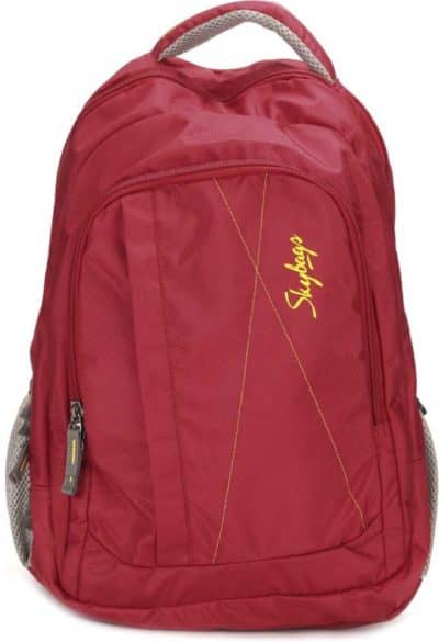 Flipkart Plus Deal – Skybags  26 L Laptop Backpack  (Red, Grey) @ 299RS post thumbnail image
